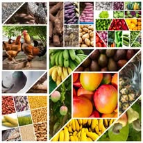 Restaurant La Saveur du Faso